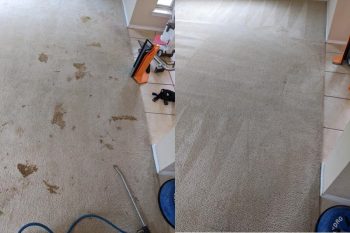 Grateful Ted's Carpet and Tile Cleaning