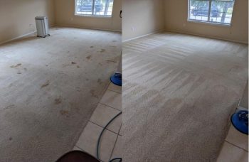 Grateful Ted's Carpet and Tile Cleaning